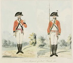 First Regiment of Foot Guards