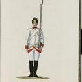 Infanterie-Regiment Nr. 15 D'Alton