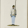 Infanterie-Regiment Nr. 19 Allvintzy de Berberek