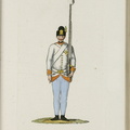 Grenz-Infanterie-Regiment Nr. 7 (Broder)