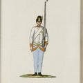 Grenz-Infanterie-Regiment Nr. 8 (Gradiscaner)