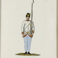 Grenz-Infanterie-Regiment Nr. 12 (Deutsch-Banater)