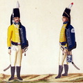 Husaren-Regiment Nr. 7 (von der Trenck)