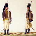 Husaren-Regiment Nr. 6 (von Wolfradt)