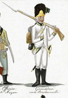 Österreich - Grenadier vom (Deutschen) Infanterie-Regiment Nr. 25 Bréchainville 
