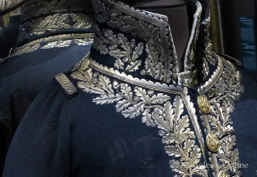Divisionsgeneral - Rock der Großen Uniform 1804-1815 (Detail mit Kragen und Knopfreihe)