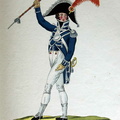 Leichte Infanterie - Tambourmajor (Tafel 36)