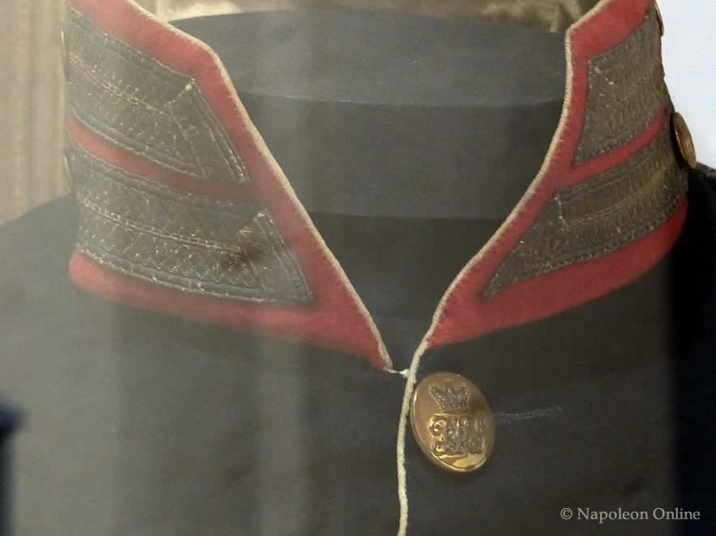 Royal Horse Guards (Blues) - Offiziersrock 1815 (Kragen von vorne)