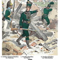 Württemberg - Leichte Infanterie und Jäger 1806