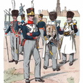 Holland - Schweizer Infanterieregimenter (Nr. 29-32) 1815-1828