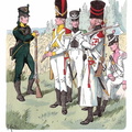 Holland - Leichte und Linieninfanterie 1806-1810