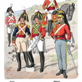 England - Gardekavallerie 1810-1815