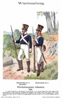 Württemberg - Linieninfanterie 1813