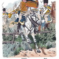 Preussen - Husaren-Regiment von Köhler 1792