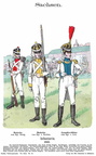 Sachsen - Linieninfanterie 1810