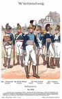 Württemberg - Linieninfanterie 1808