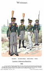 Weimar - Leichte Infanterie 1812