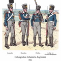 Preussen - Linieninfanterie-Regiment Colberg 1811