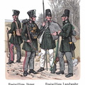 Anhalt - Freiwillige Jäger und Landwehr 1813