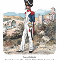 Frankreich - Linieninfanterie-Regiment Nr. 117, 1808-1814