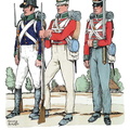 Hannover - Linieninfanterie-Bataillon von Bennigsen 1813