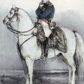 Gardejäger zu Pferd, Napoleon in der Uniform eines Obersten