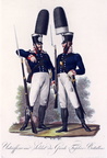 Gardefüsilier-Bataillon (Mannschaftstyp und Unteroffizier)