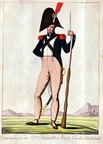 Nationalgarde, 2. Bataillon (Grenadier)