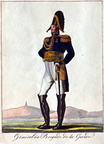 Brigadegeneral der Königlichen Garde