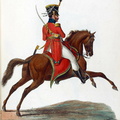 Chevaulegers-Regiment Prinz Albert (Offizier)