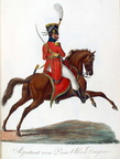 Chevaulegers-Regiment Prinz Albert (Offizier)