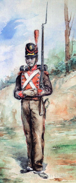 Portugal_RibeiroArtur_PortugiesischeLegionInfanterie_Soldat1808-1813.jpg