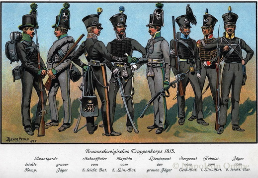 Braunschweig: Infanterie 1815