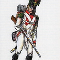 Würzburg: Infanterieregiment - Voltigeur 1809