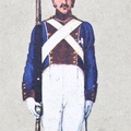 Infanterie - Linieninfanterie, Unteroffizier der 3. Kompanie 1814