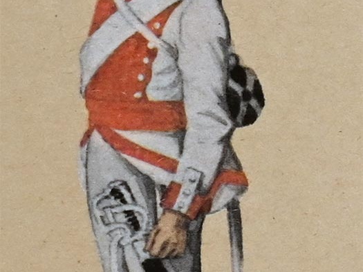 Kavallerie - Kürassier-Regiment Minucci, Kürassier 1801