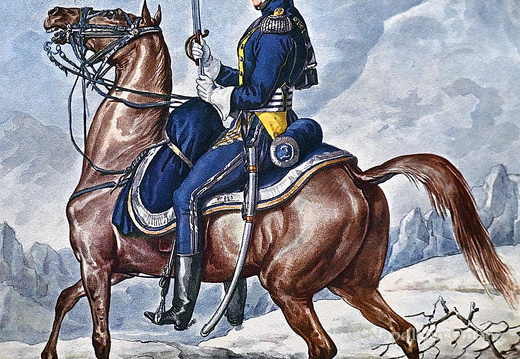 Chevaulegers - 8. (polnisches) Regiment, Offizier