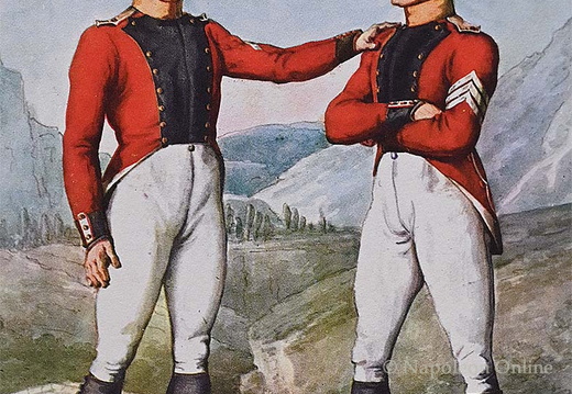 Schweizer Infanterie - 3. Regiment, Voltigeure