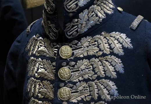 Adjudant-Commandant - Rock der Großen Uniform 1804-1815 (Detail mit Kragen und Knopfreihe)