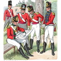 England - Infanterieoffiziere 1815