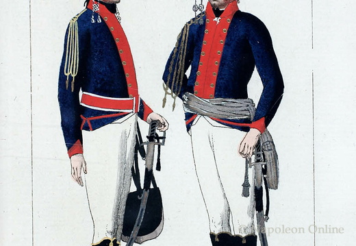 Husaren-Regiment Nr. 9 Regiment Towarczys