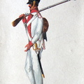 Sachsen - Infanterie, Soldat vom Infanterie-Regiment König am 13.7.1815
