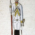 Infanterie-Regiment Nostitz - Grenadier