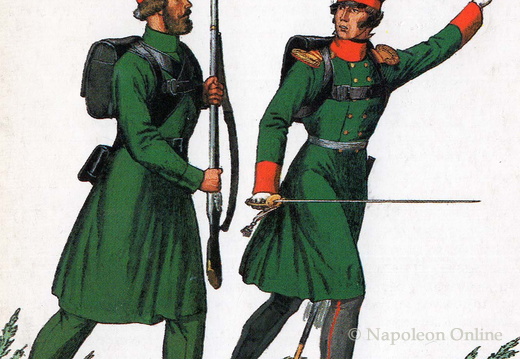 Milizen - Miliz von St. Petersburg, Soldat und Oberoffizier