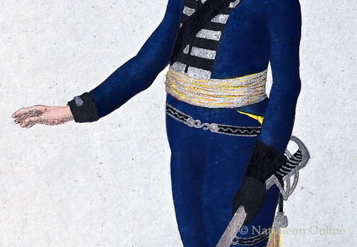 Württemberg - Artillerie zu Pferd, Offizier