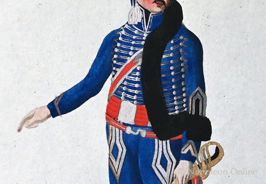 Sachsen - Husaren-Regiment, Offizier