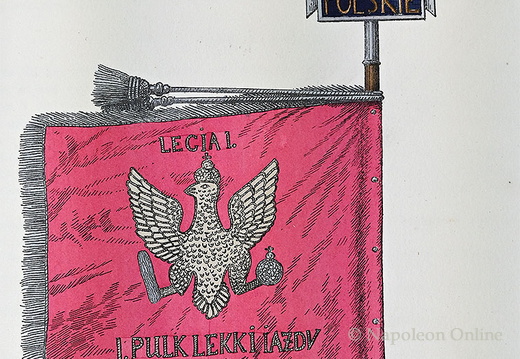 Jäger zu Pferd - 1. Regiment der Kavallerie, Standarte