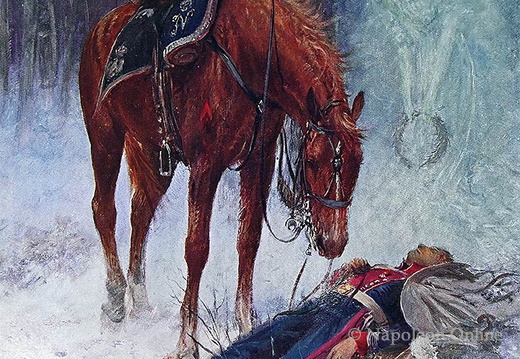 Frankreich - 1. (polnisches) Chevaulegers-Regiment der Kaisergarde, Soldat