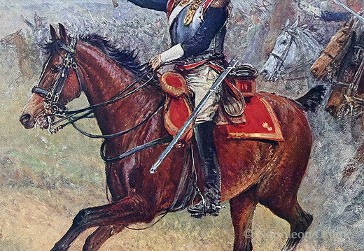 Kürassiere - 14. Regiment der Kavallerie, Offizier