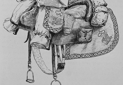 Chevaulegers, Dragoner und Kürassiere 1789-1798 - Mannschaften, Pferdeausrüstung